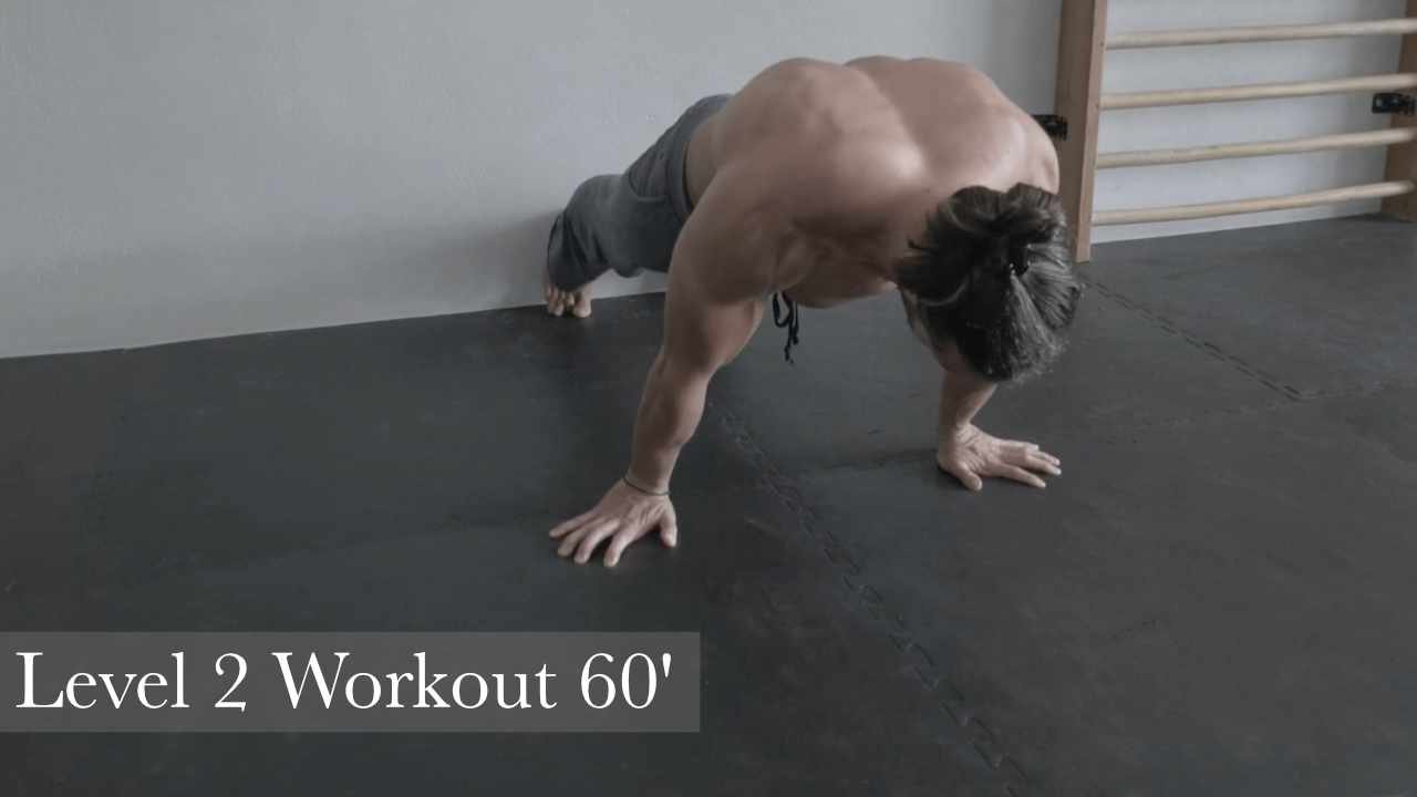 Level 2 Workout 60′
