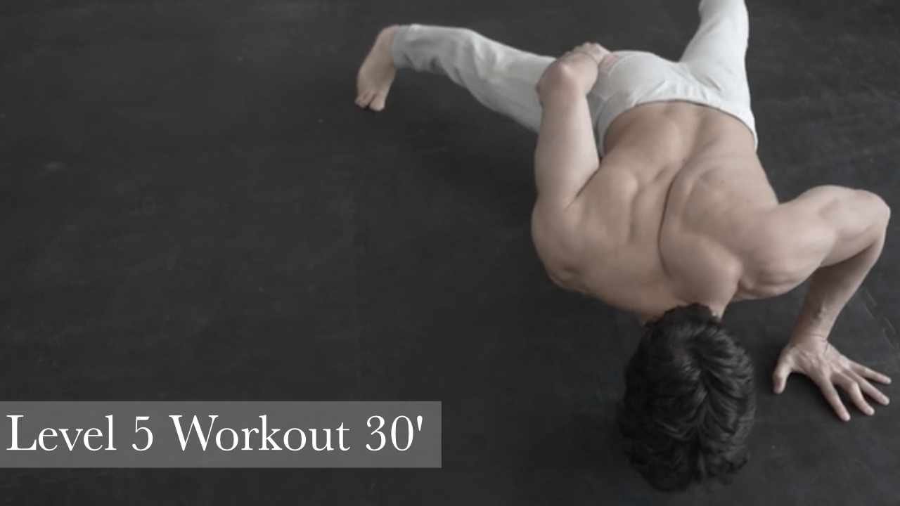 Level 5 Workout 30′