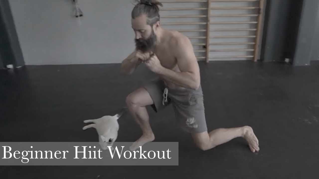 Beginner Hiit Workout 6